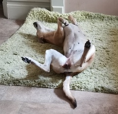 How about a funny thread?