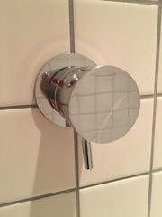 Do you know the brand/model of this shower?