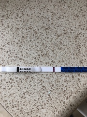 Opinions on test plz
