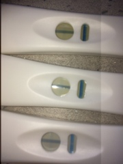 Positive Pregnancy test?