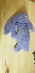 To ask if any of you have this Jellycat?