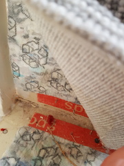 Carpet dilemma