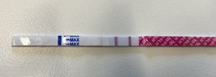 Positive OPK = pregnancy??