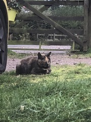 What is she?