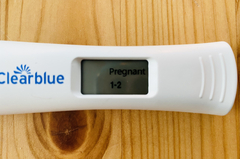 Newly Pregnant Club