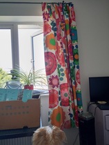 To ask you the help me work out what size curtains I need?!