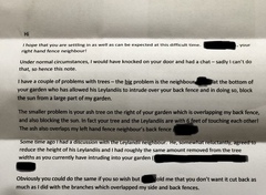 Neighbourly dispute over trees