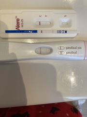 8 dpo BFN first response