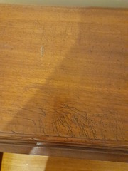 Any guesses what made these scratches?