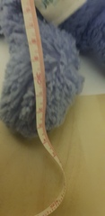 To ask if any of you have this Jellycat?