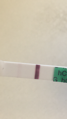 HCG levels & faint lines