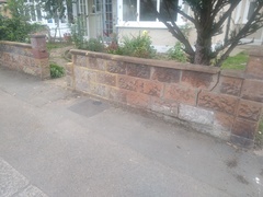 Front garden hedge help!