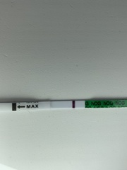 Evap line?