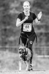 Tell me about your rescue dogs