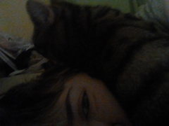 Kitten love when I was upset