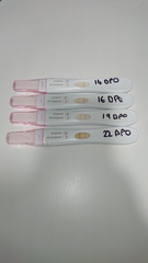 How many of you had faint lines and had a successful pregnancy?