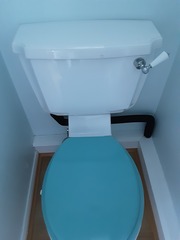 Toilet flush issues