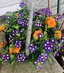 Show Us Your Pictures 4