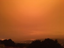 Post Apocalypse?