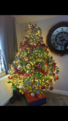 Help me find a new (perfect) Christmas tree?!