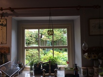 Roman blind