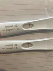BFP rainbow babies