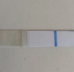 Can you see the line?