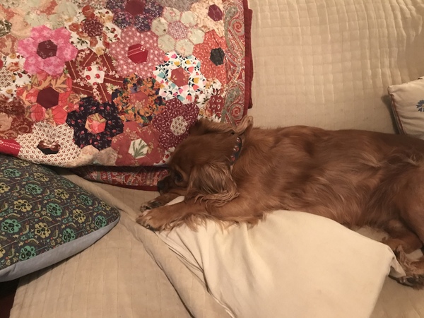 Blanket freak