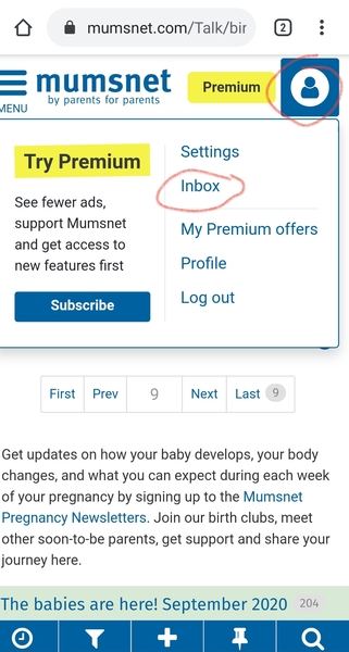 The babies are here! September 2020