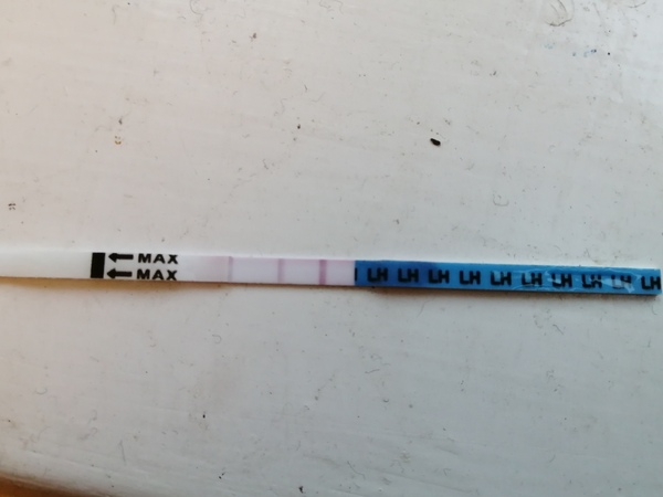 First time using an OPK can anyone help?