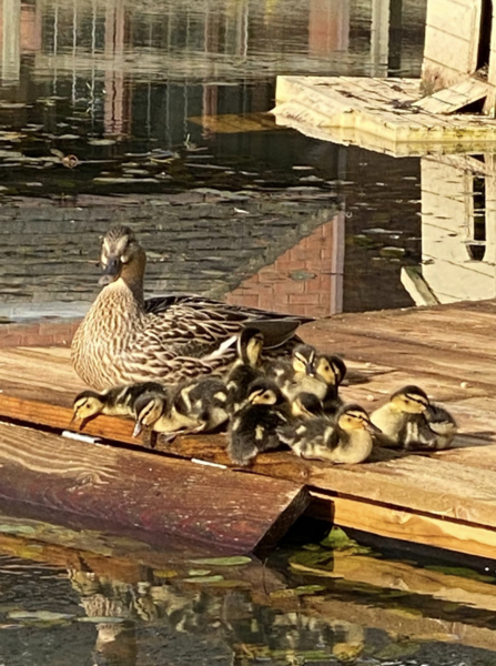 NOT what I expected to wake up to this morning...