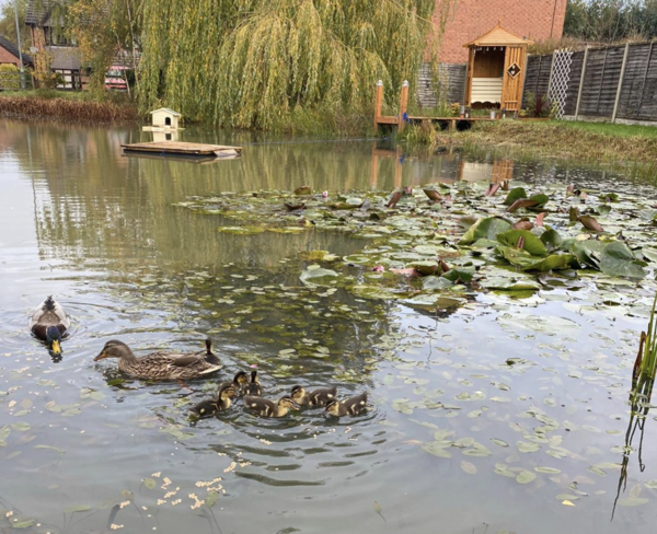 NOT what I expected to wake up to this morning...