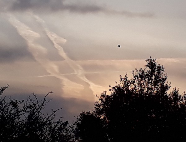 Swagger Inn 167 - Autumn is here, the days are getting shorter and colder...