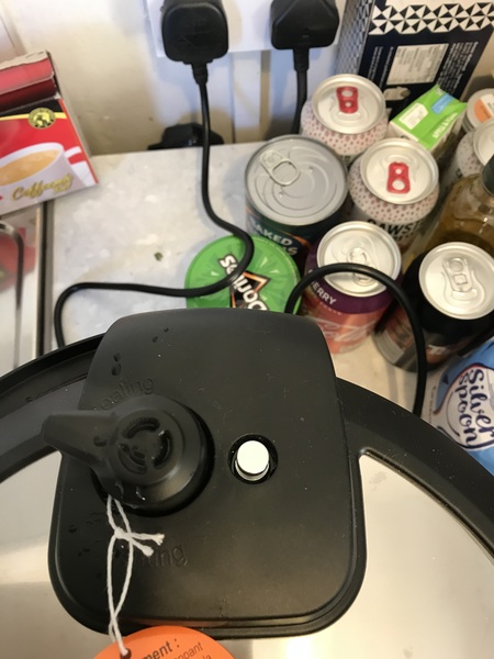Please help, first time using the duo instant pot
