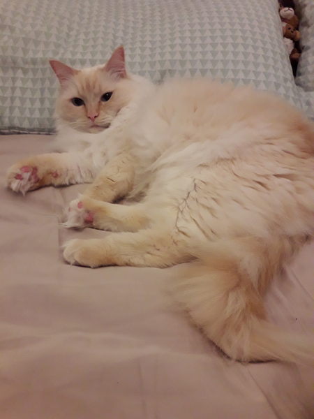 Bonny lasses assemble for the North East support thread 2!