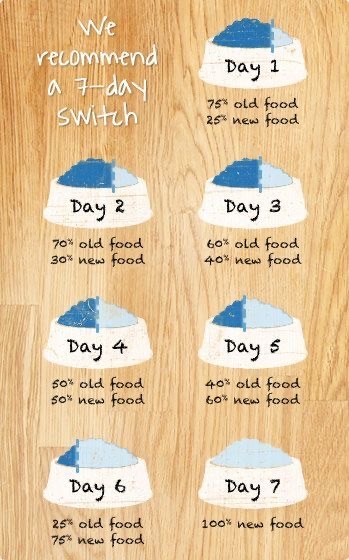 How to wean adult cat from cheap wetfood to good quality wetfood?