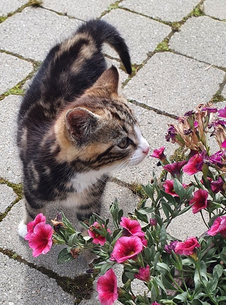 What is she?