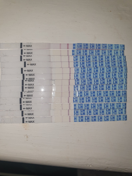 To ask for your help with ovulation tests?