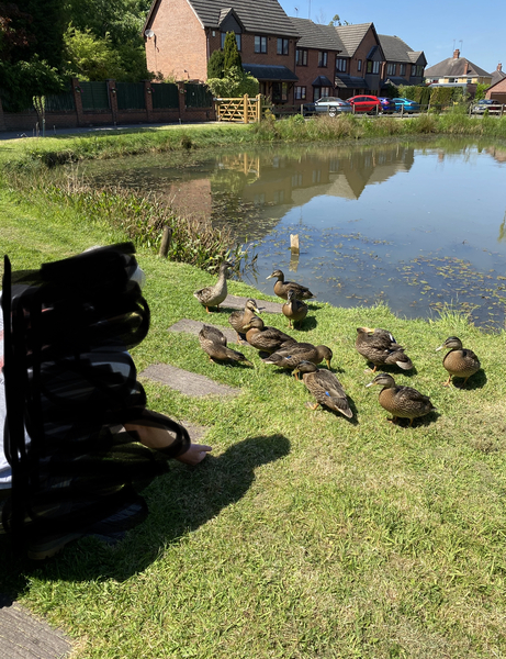 NOT what I expected to wake up to this morning...