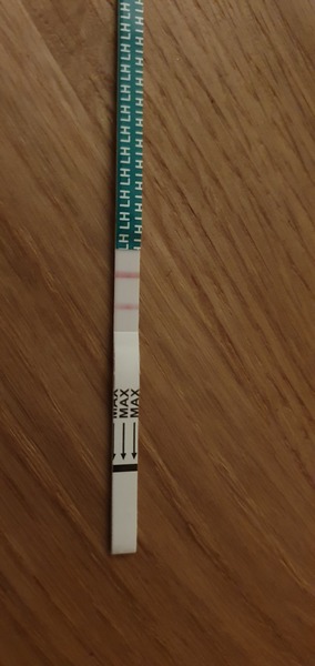 Help with OPK strip?