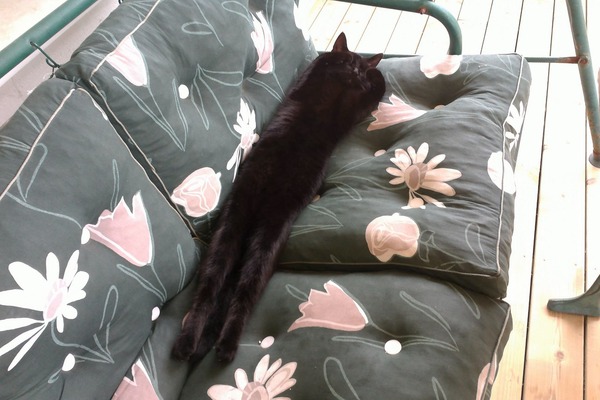 Westminstenders: The Tunnel or Bridge