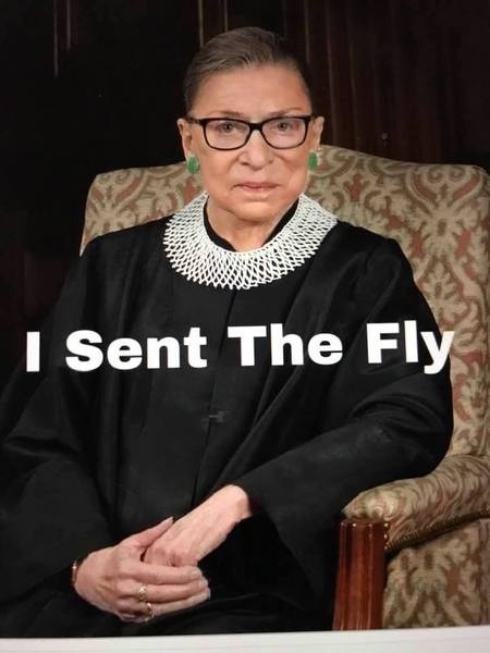 The final countdown to Election Day 2020 is on (Trump thread #106)