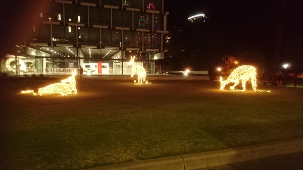 TO WANT TO spend Christmas in Australia