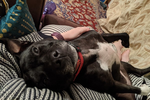 Help us decide - SBT or Beagle?
