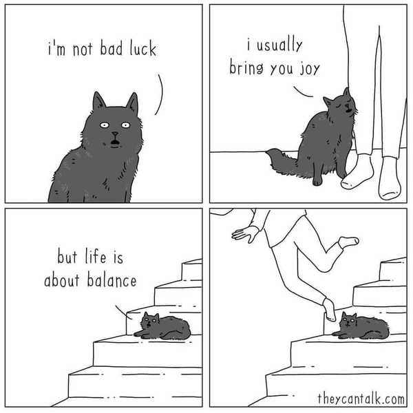 It's national black cat day today