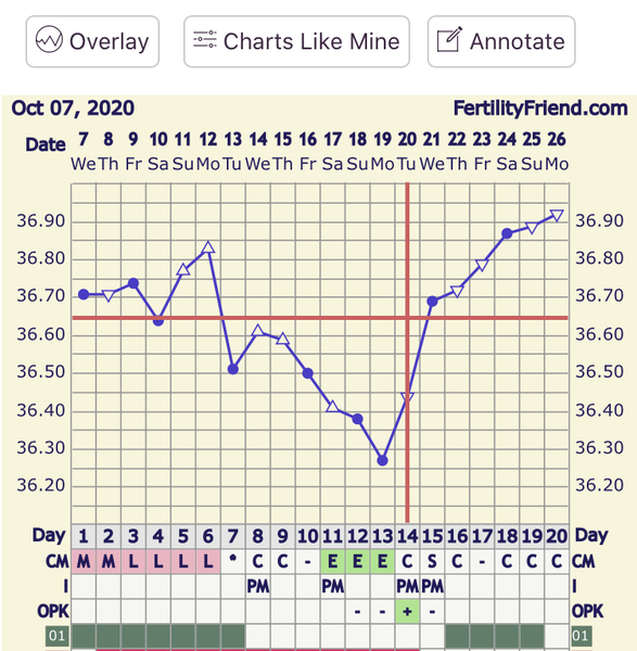 Self insemination - Any success stories?!