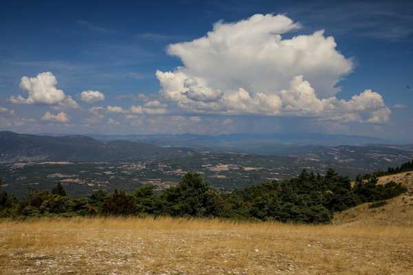 Westminstenders: The Tunnel or Bridge