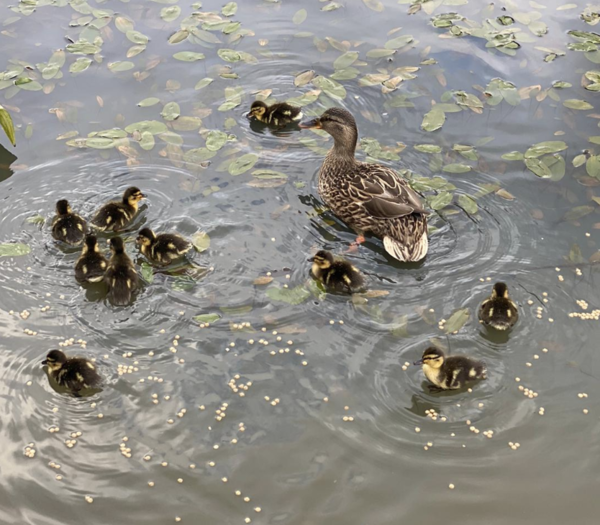 NOT what I expected to wake up to this morning...