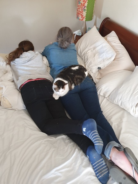 Keep your filthy disgusting cats at home!