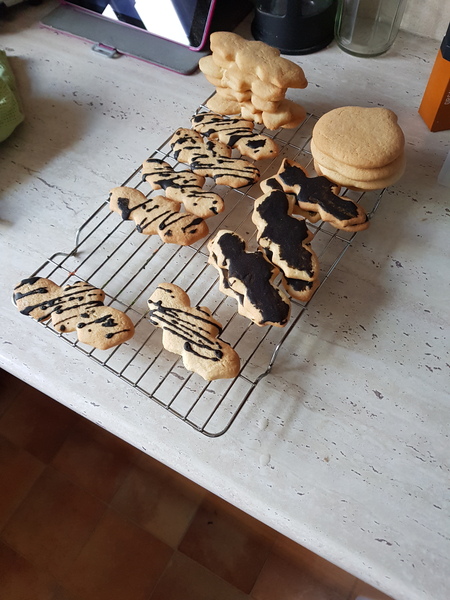 Help! Biscuit recipe